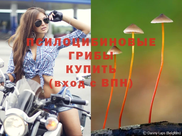 дмт Нягань