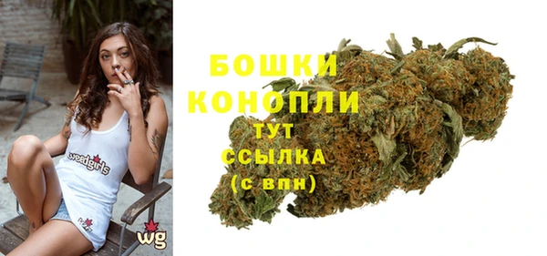 дмт Нягань