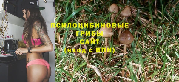 эйфоретик Нязепетровск