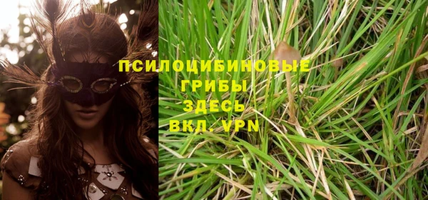 эйфоретик Нязепетровск