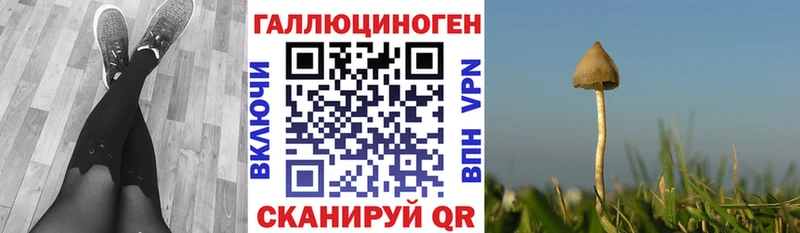 купить наркотик  Уварово  Галлюциногенные грибы MAGIC MUSHROOMS 